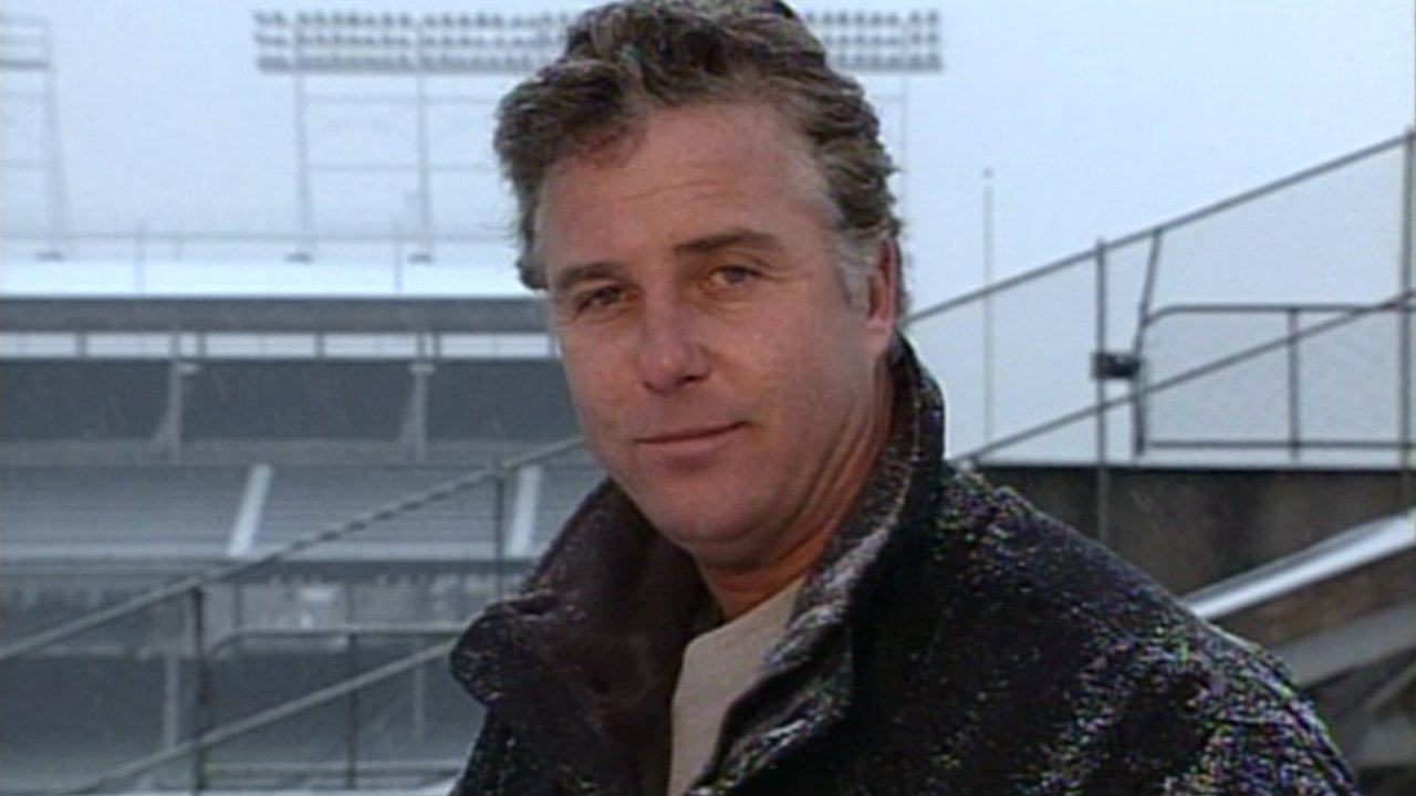 Wrigley Field: Beyond the Ivy (2001)