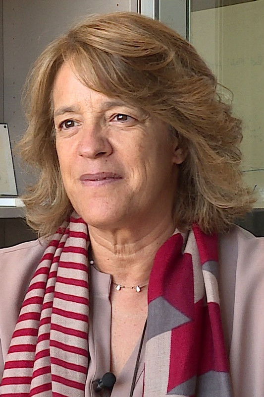 et billede af Laurinda Alves