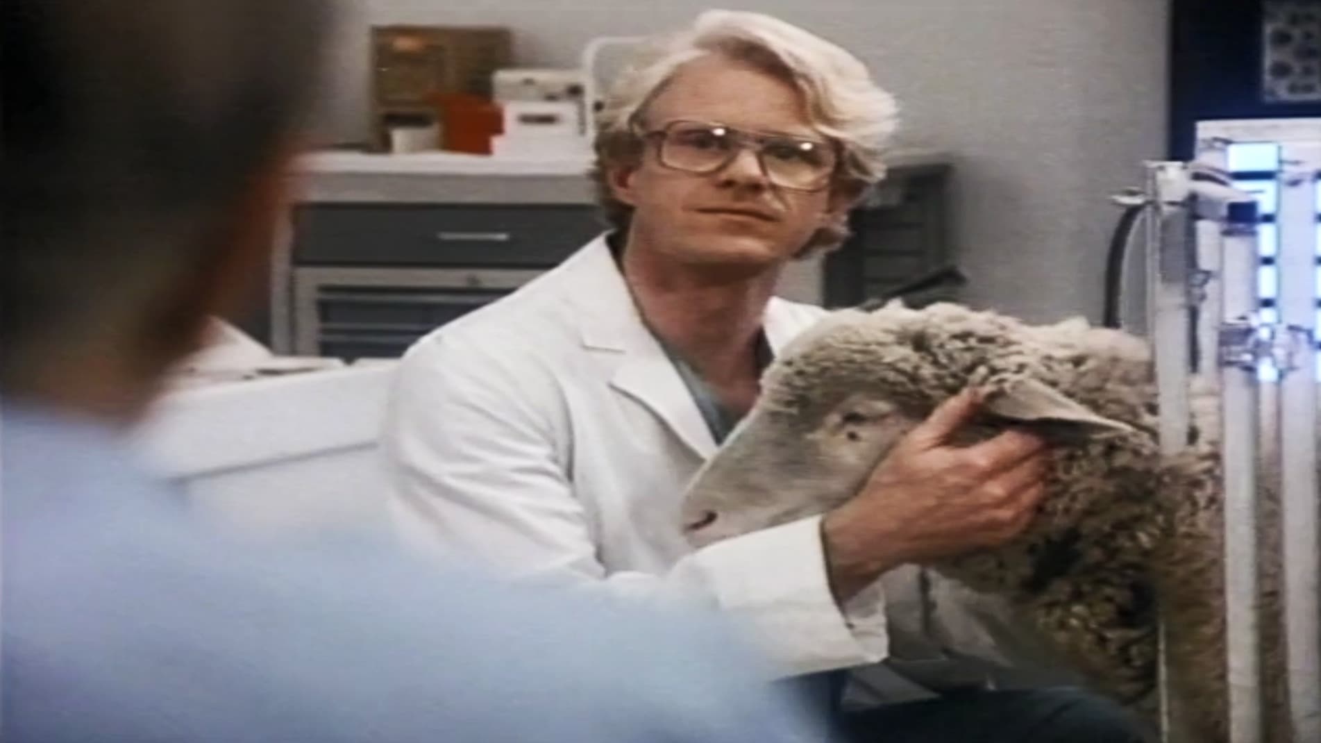 St. Elsewhere