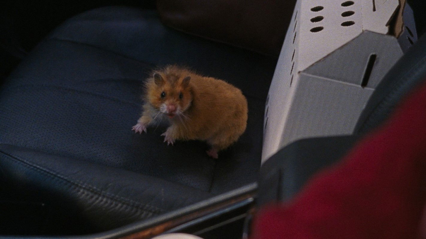 If I Had Legs I'd Kick You (2025)