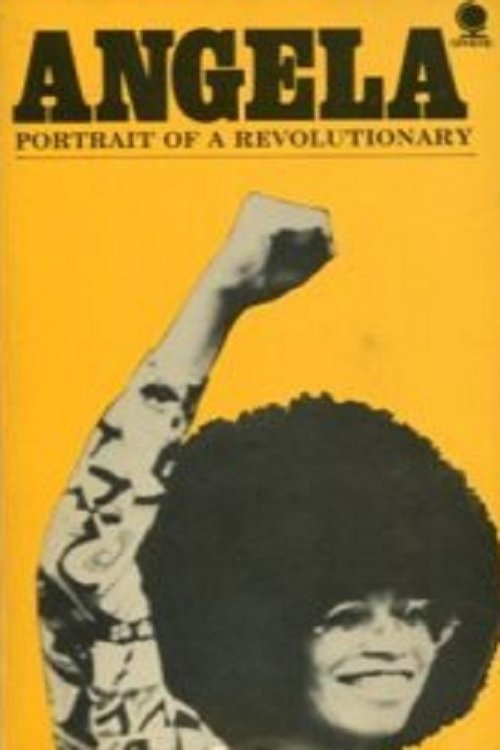 Affiche du film Angela Davis, portrait d'une révolutionnaire 173995