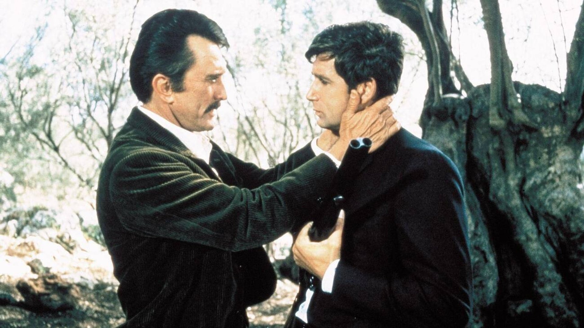The Brotherhood (1968)