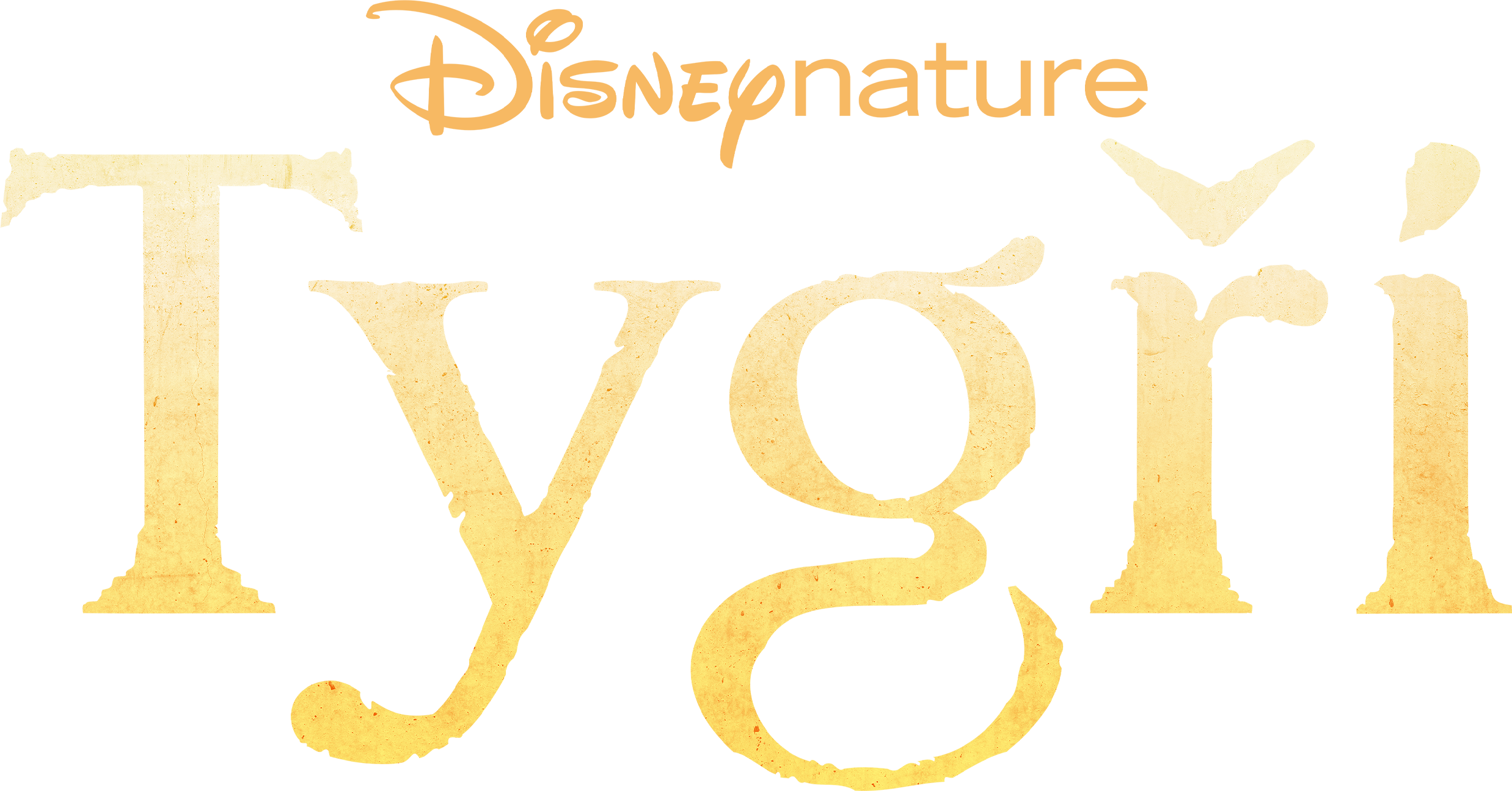 Tygři