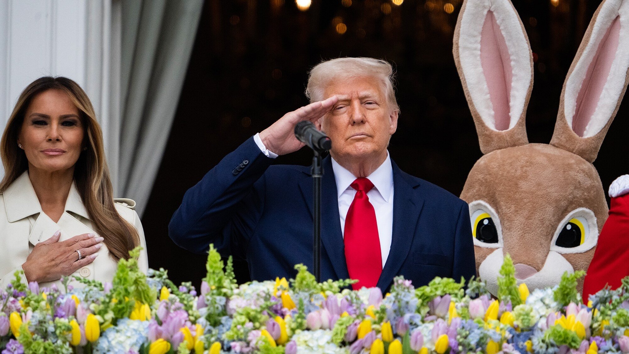 All Hail the King