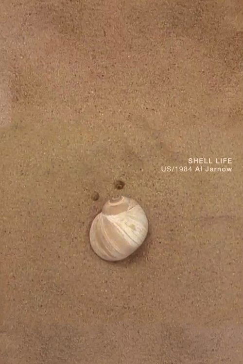 Shell Life