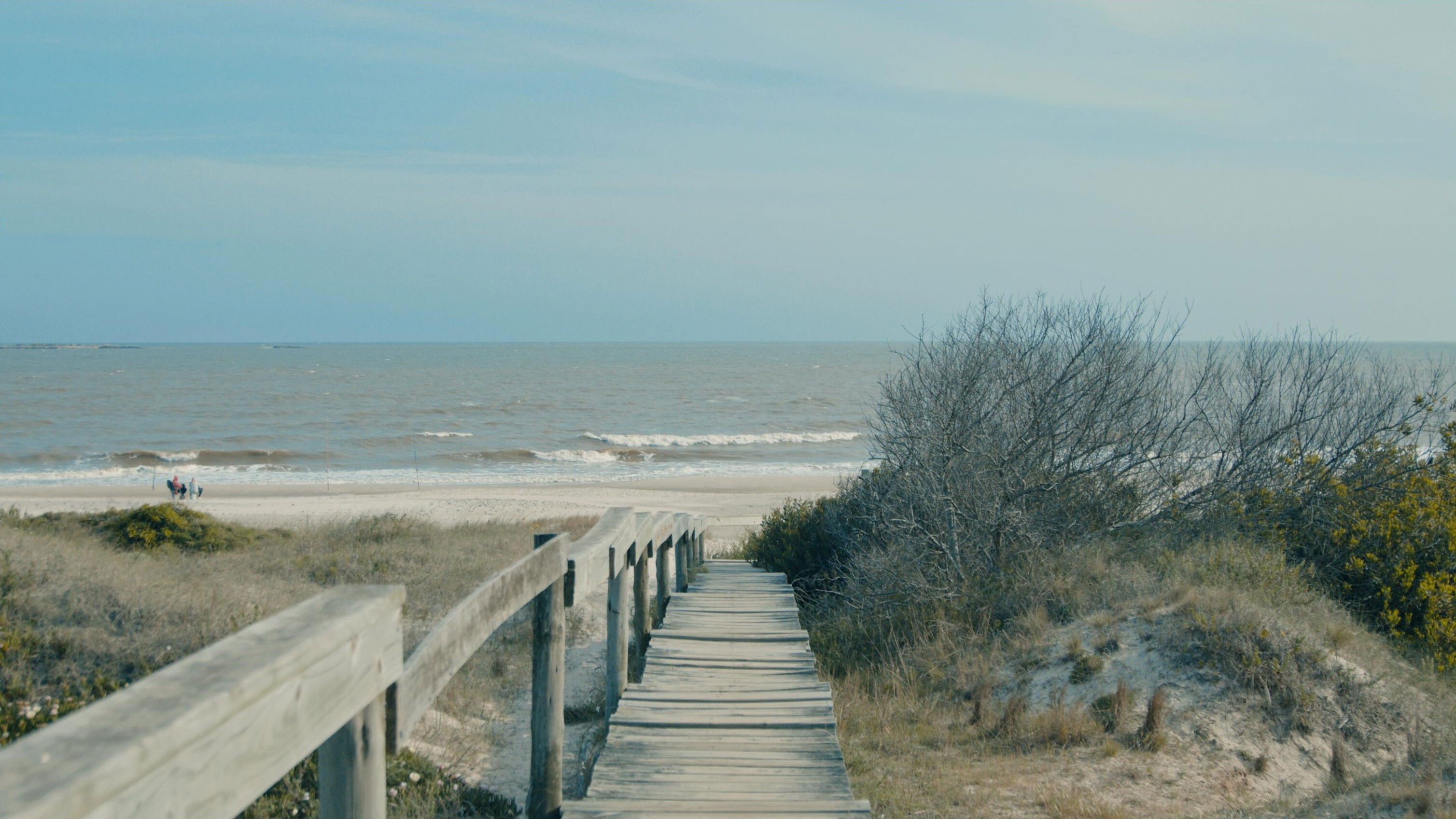 Del otro lado de la zanahoria
