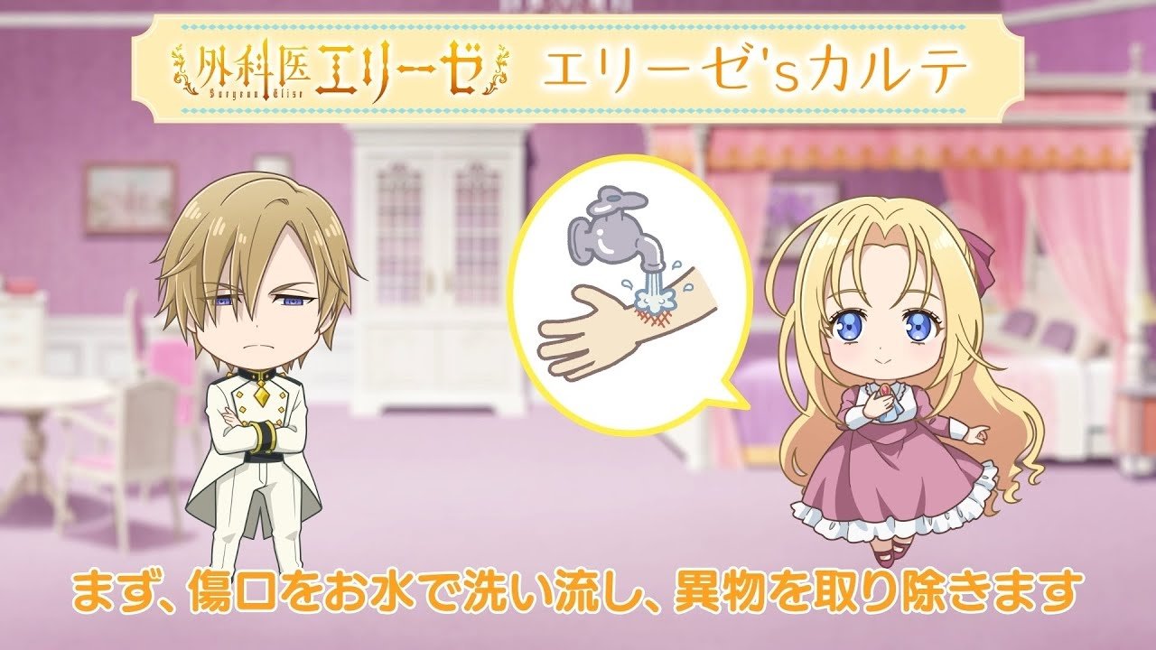 Doctor Elise: The Royal Lady with the Lamp