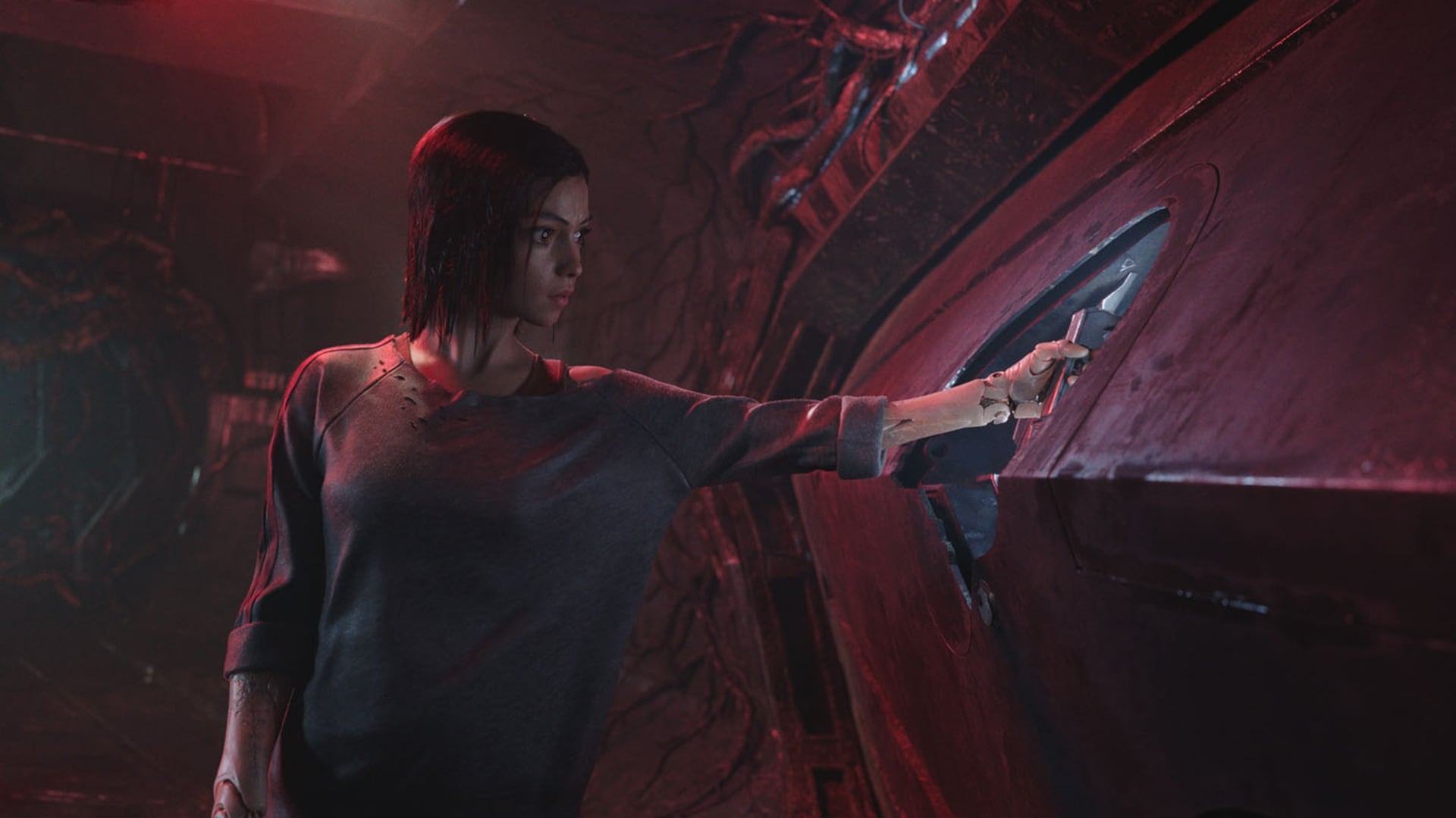 Image du film Alita : Battle Angel 81regdyjz7qlqtljfjldclgsebpjpg