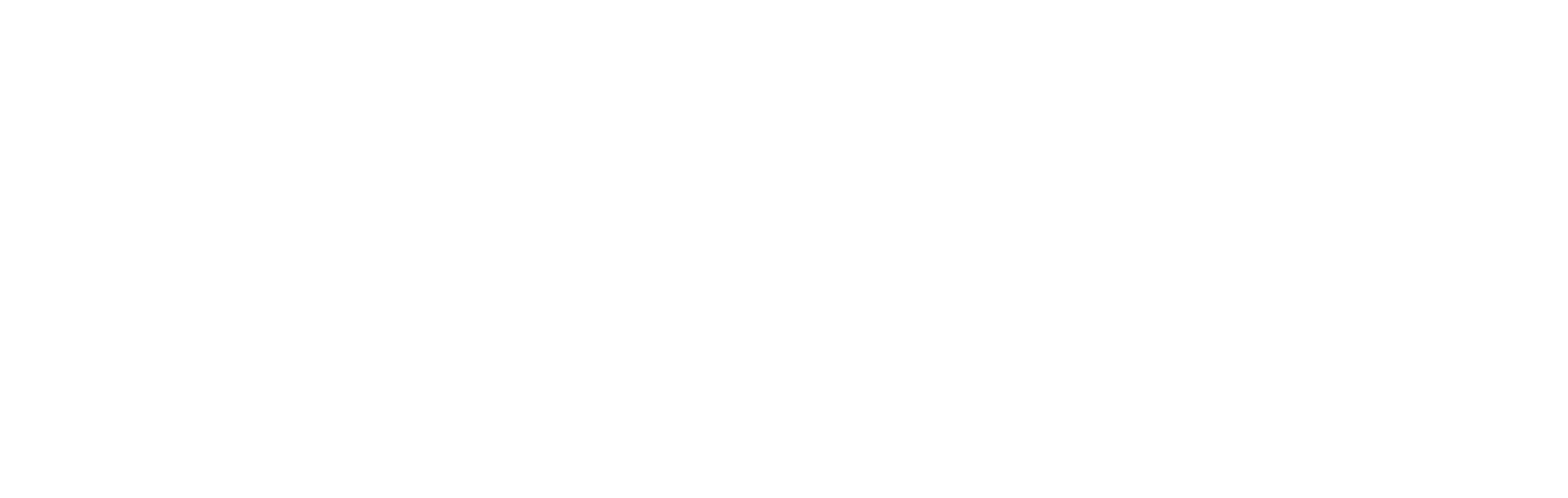 Heart & Soul Logo