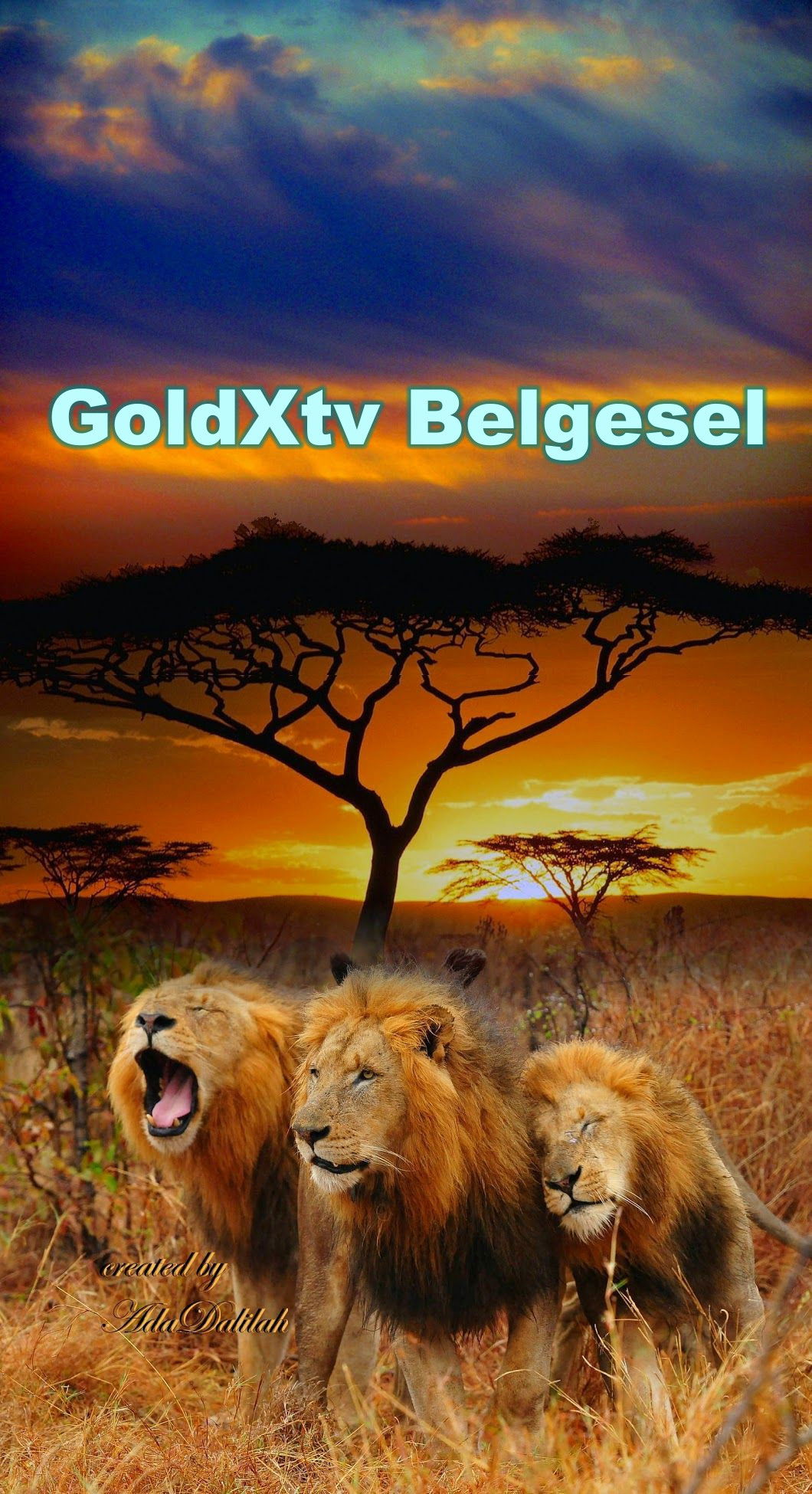 Poster for Belgesel: