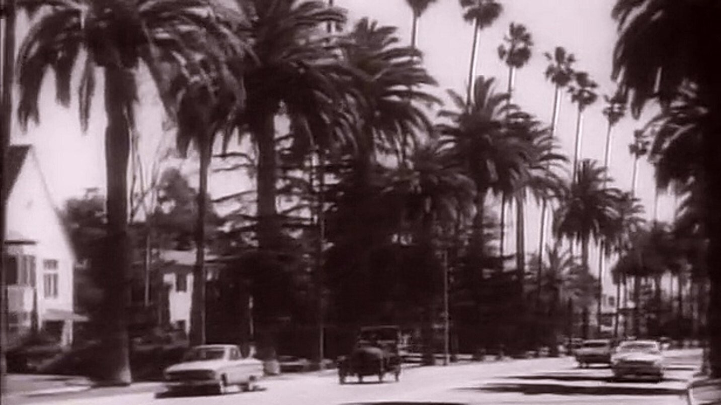 The Beverly Hillbillies