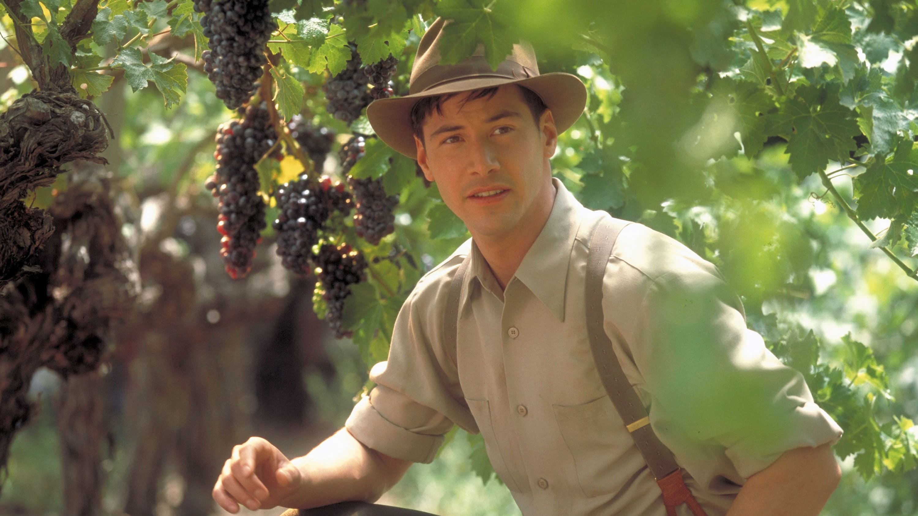 En vandring i vinmarkene (1995)