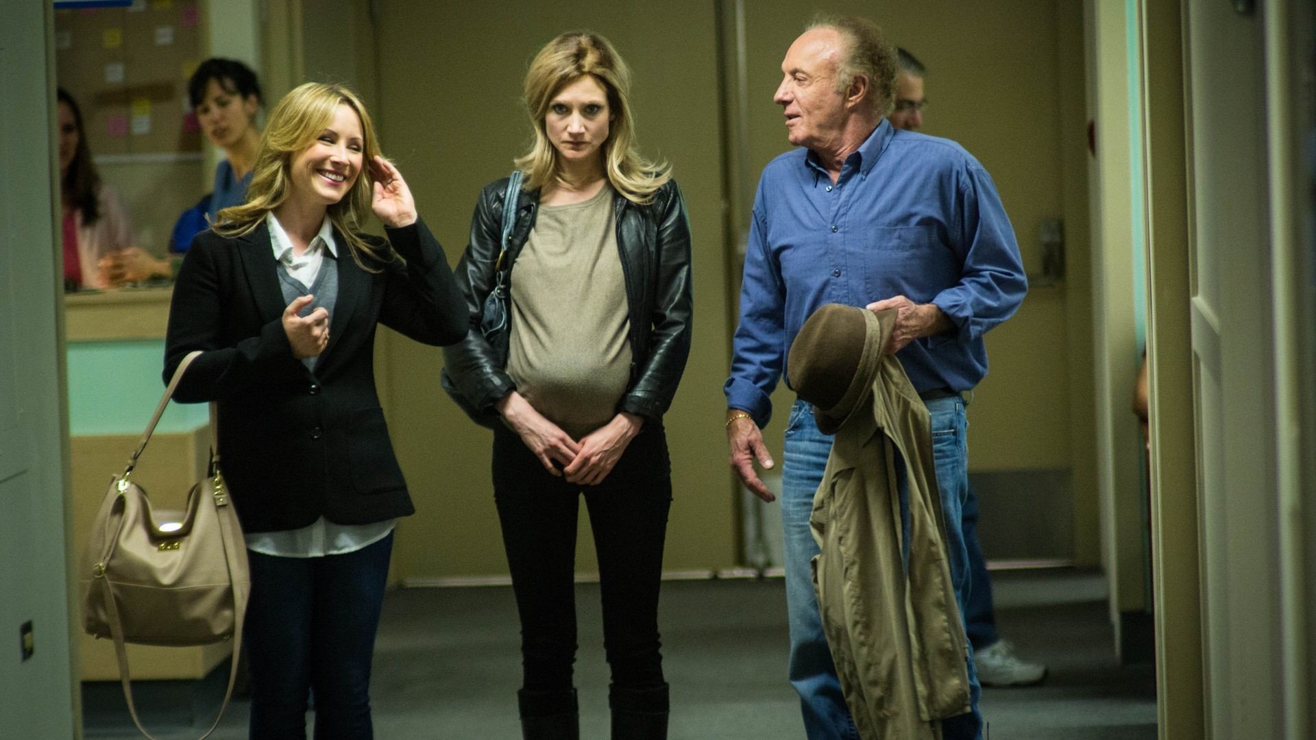 Preggoland (2014)
