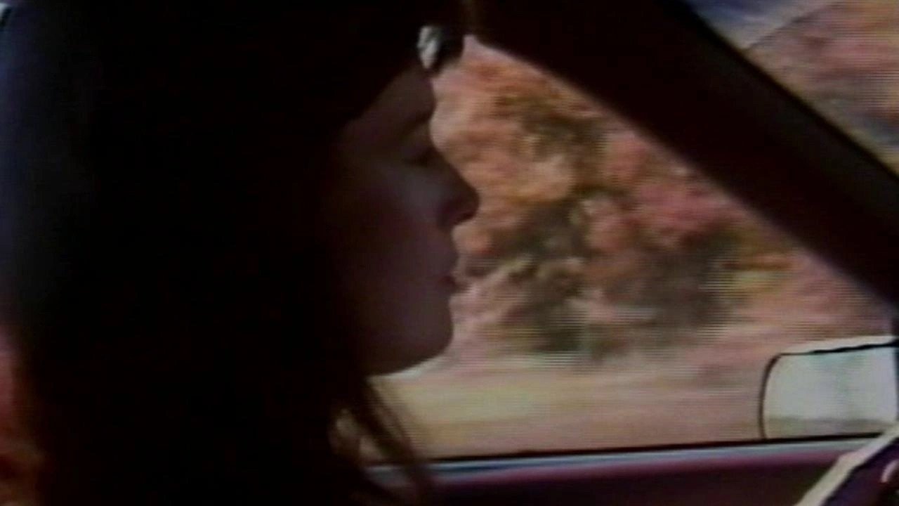 Savage Vengeance (1993)