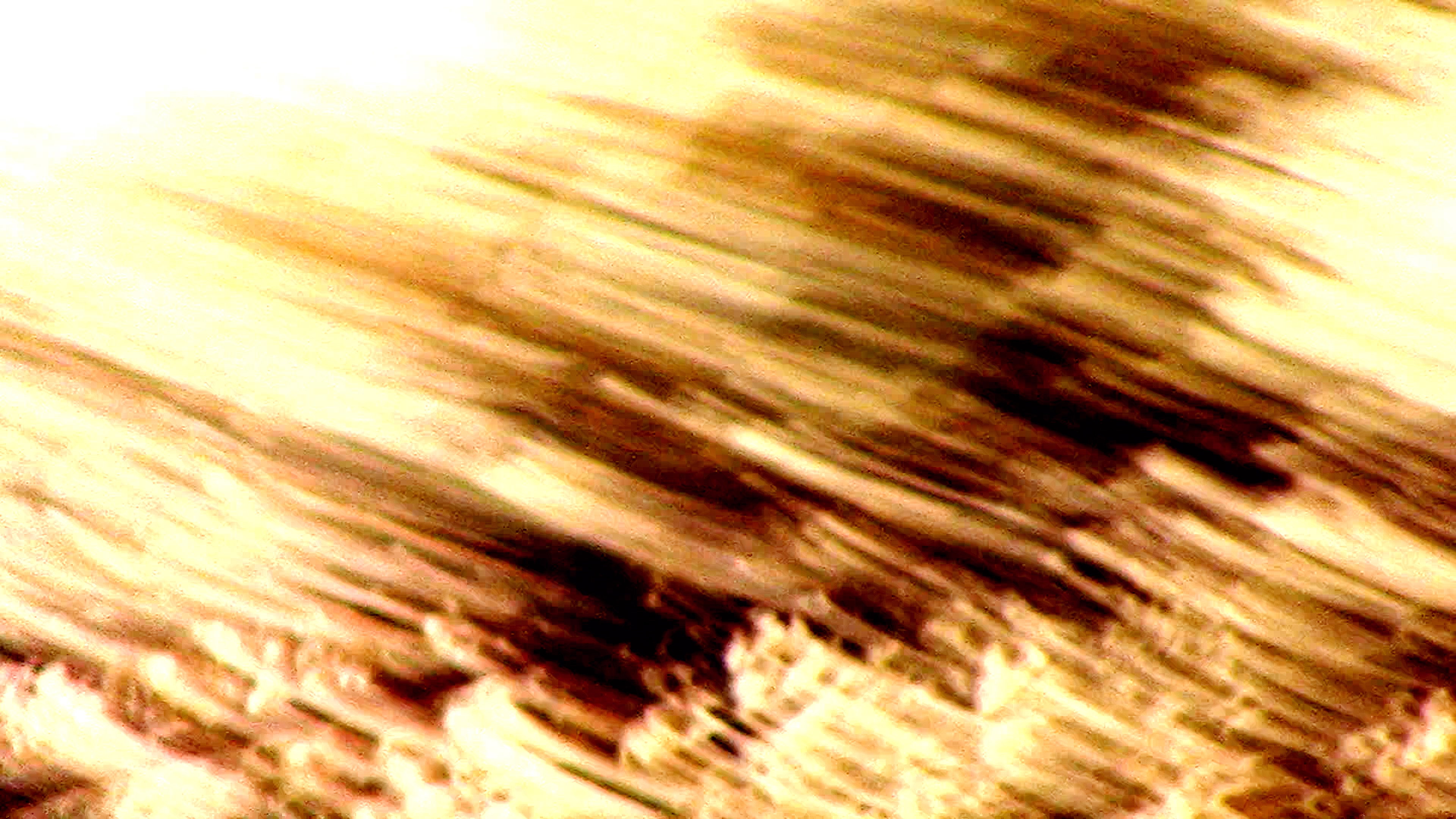 within the light; a fire