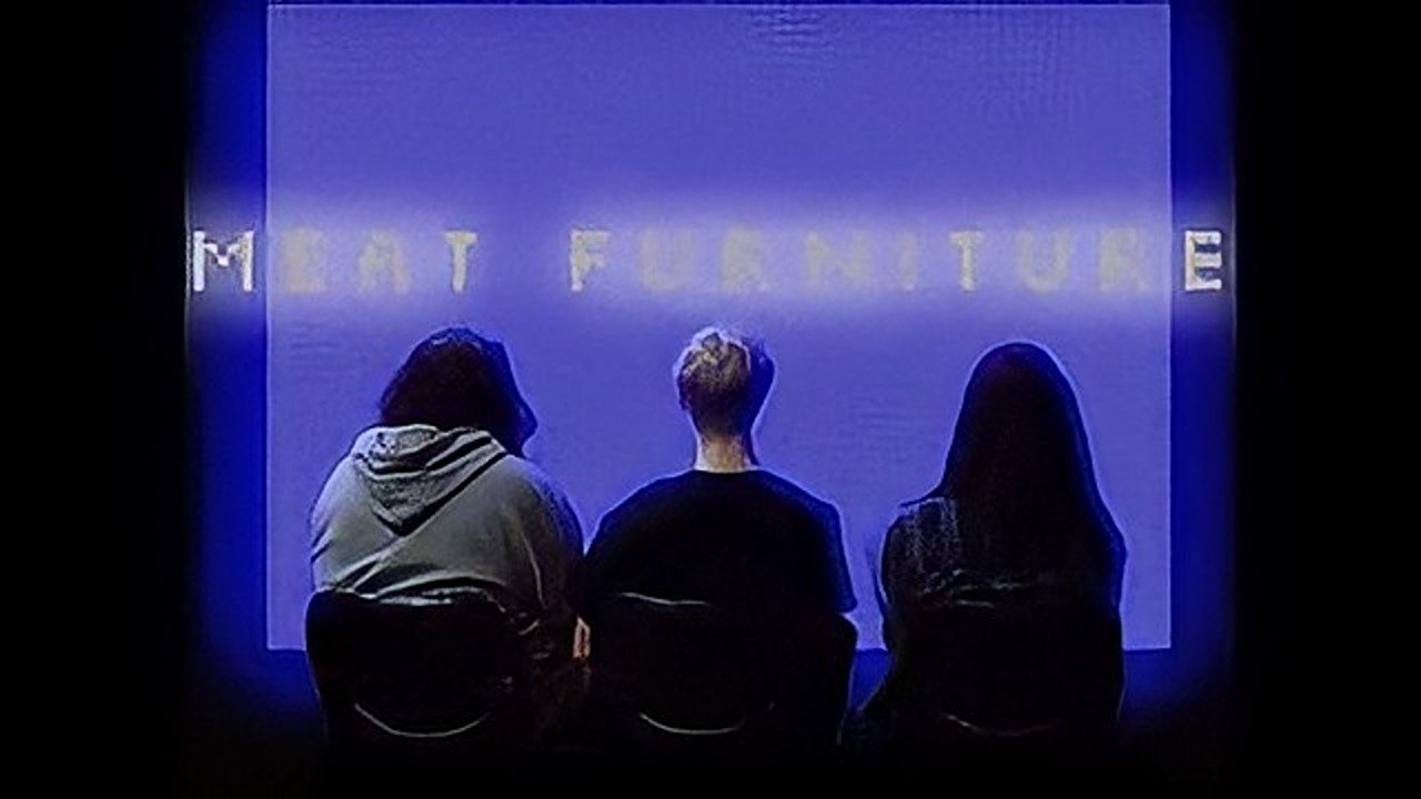 Meat Furniture (2022)