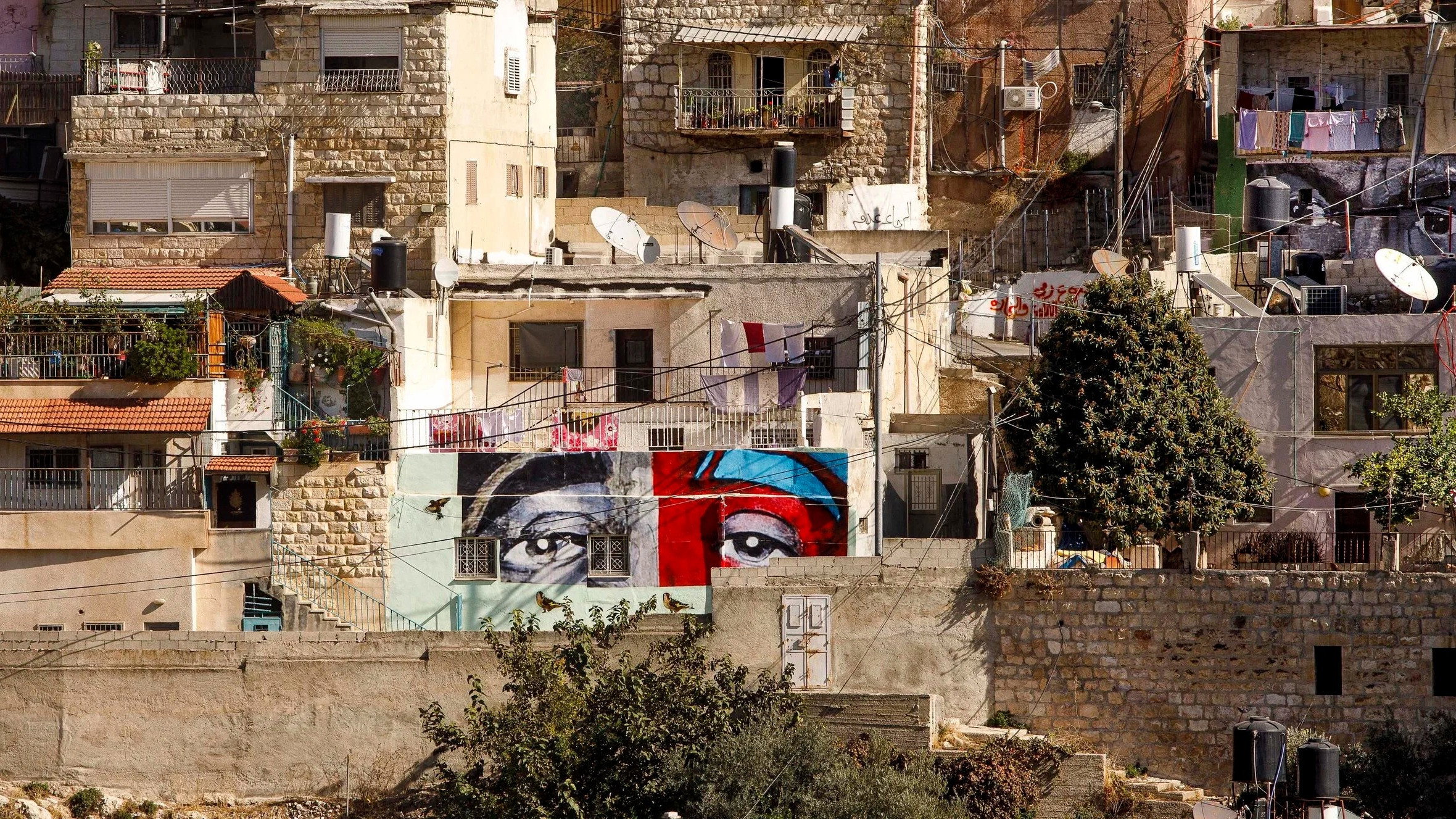 I Witness Silwan