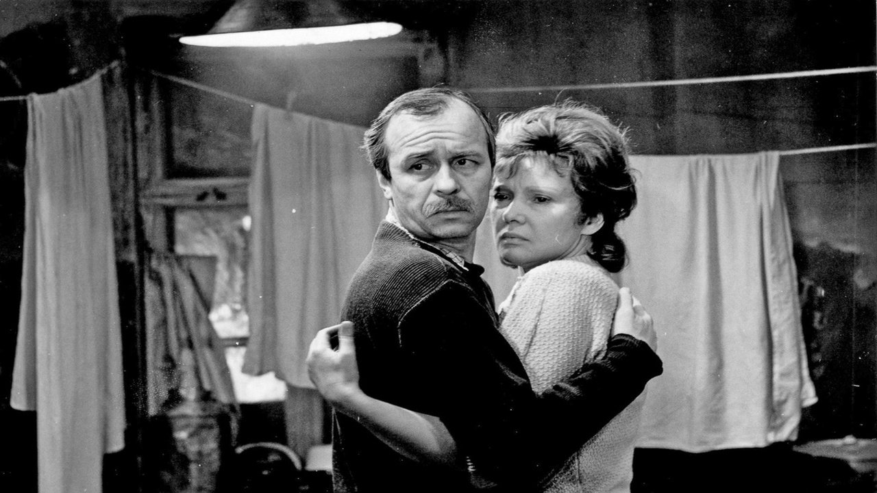 Вторая попытка Виктора Крохина (1987)