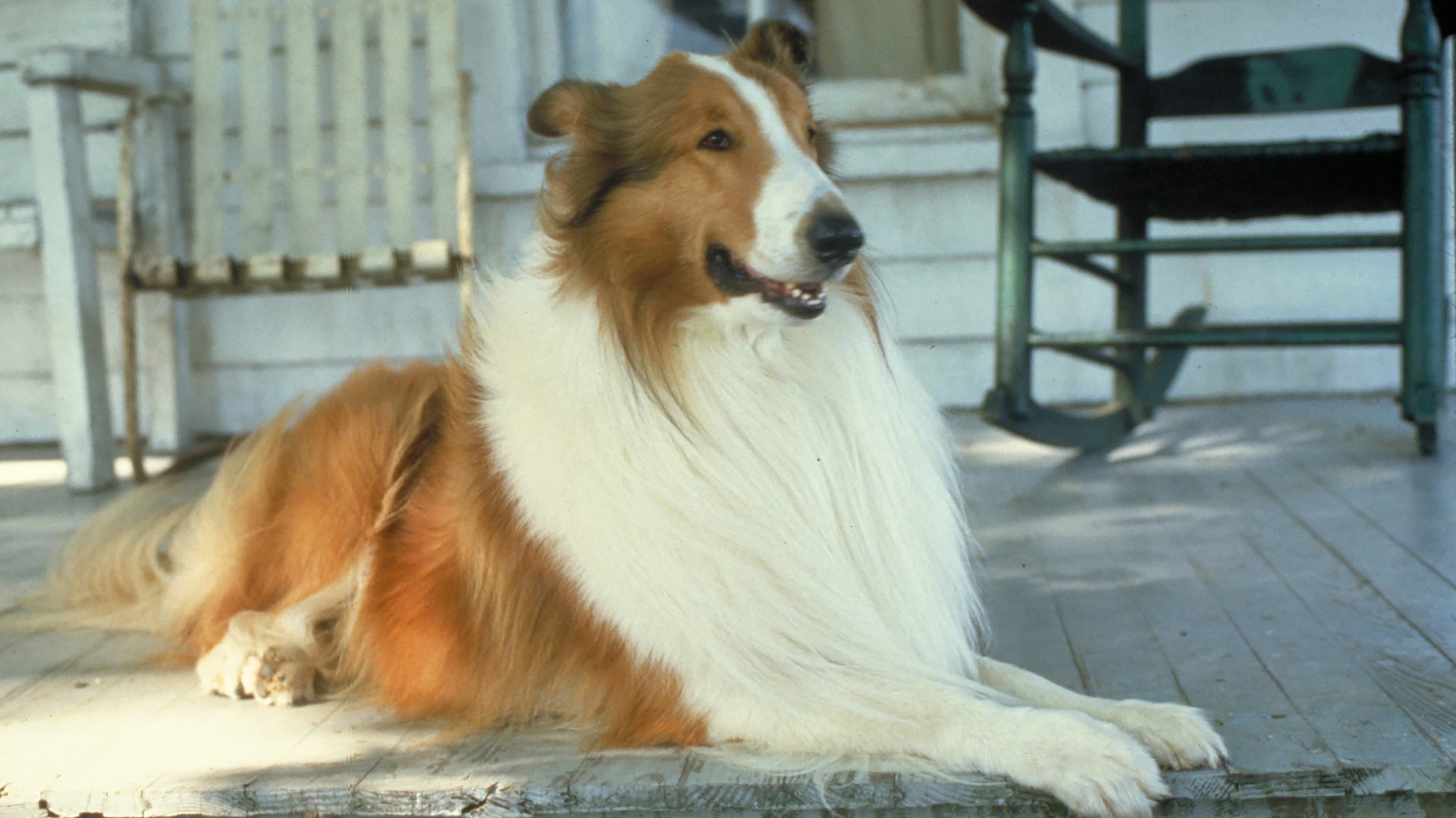How to watch and stream Lassie - 1994 on Roku