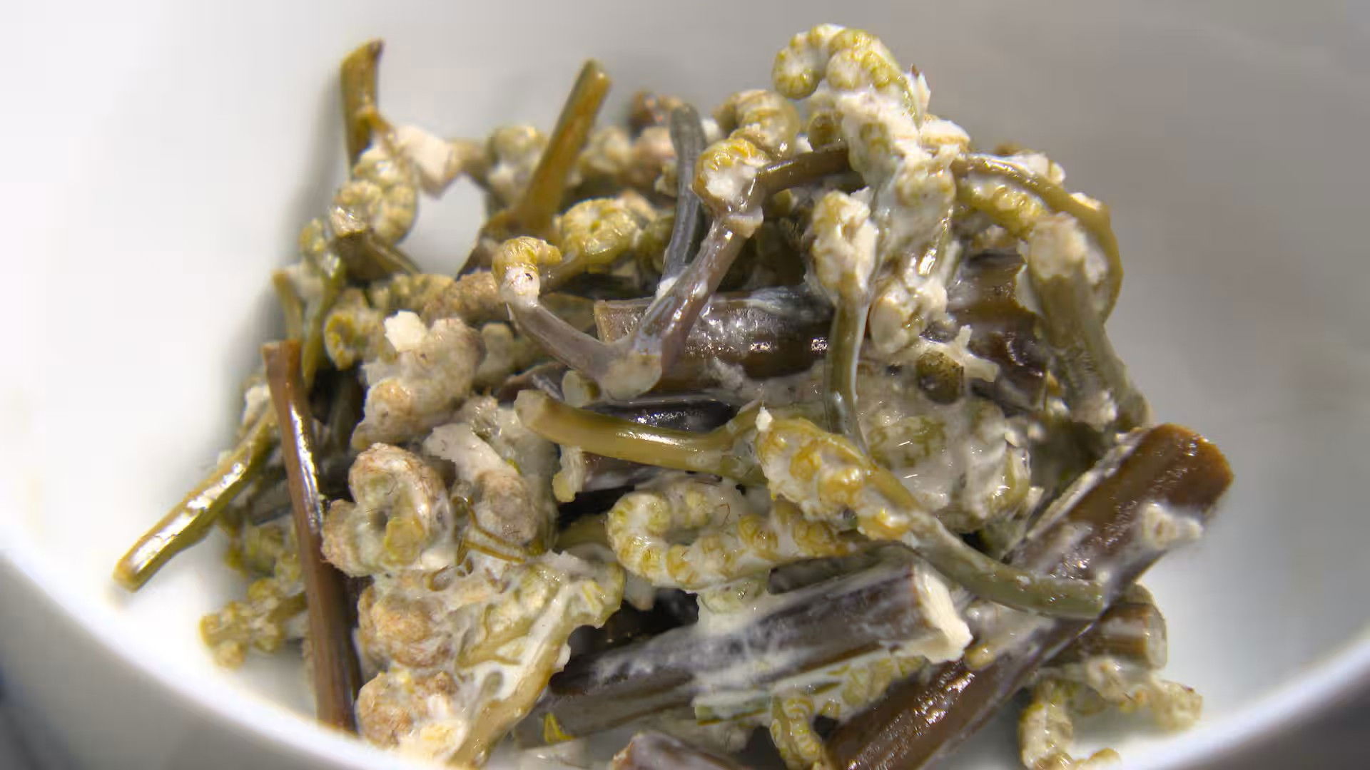 Diary of a Nun's Abundant Kitchen Season 3 :Episode 13  Episode 13