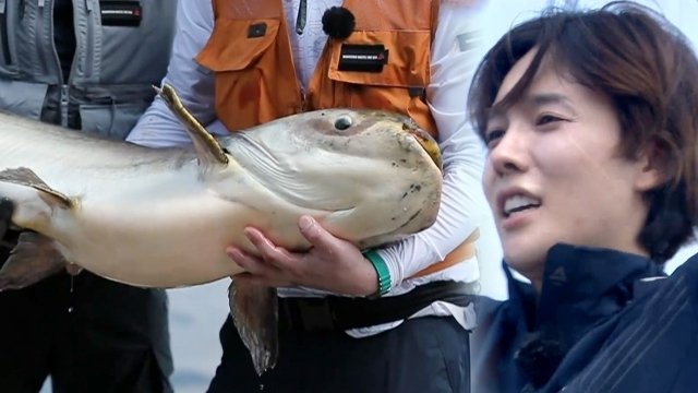 Episode 1