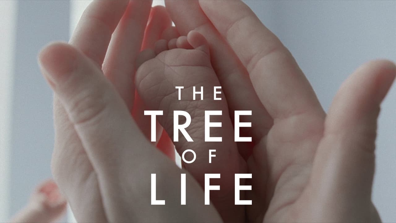 The Tree of Life (2011)