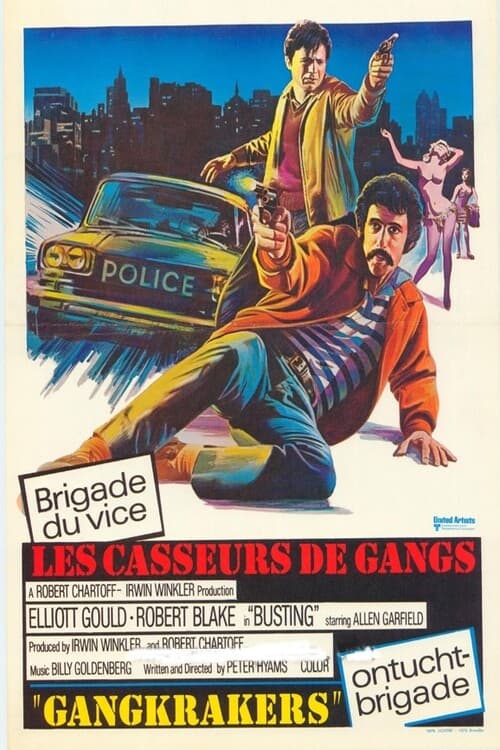 Affiche du film Les Casseurs de gangs 16067