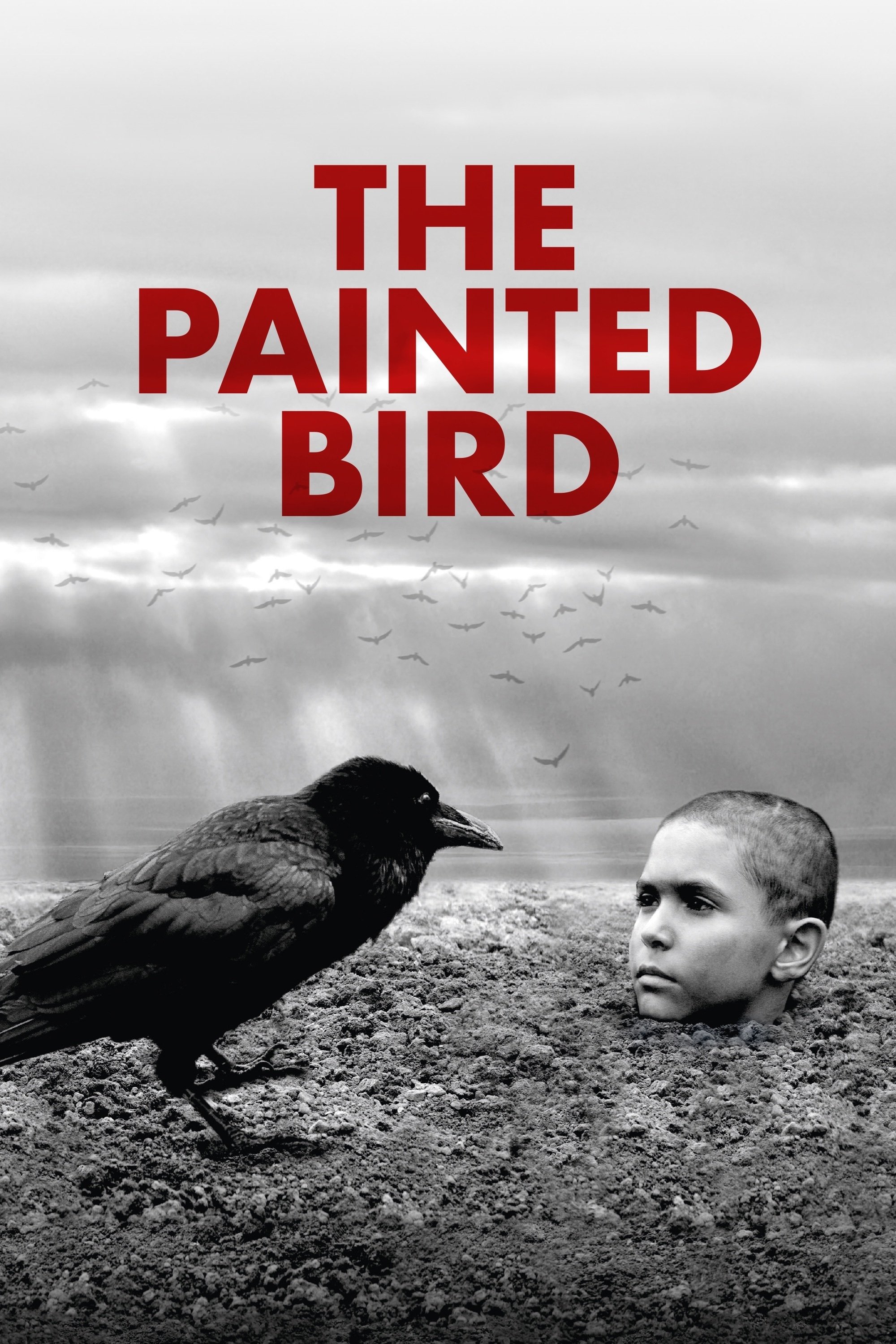 The Painted Bird