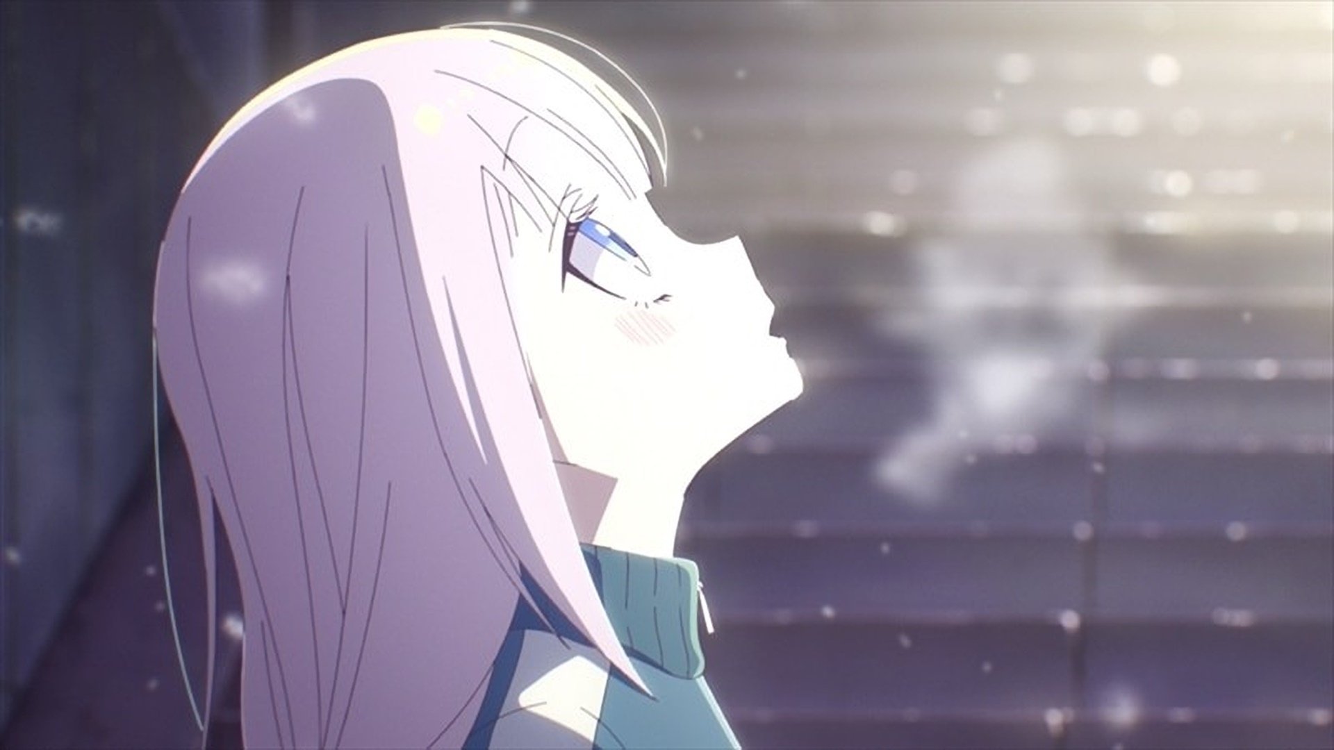 The Magical Girl and the Evil Lieutenant Used to Be Archenemies