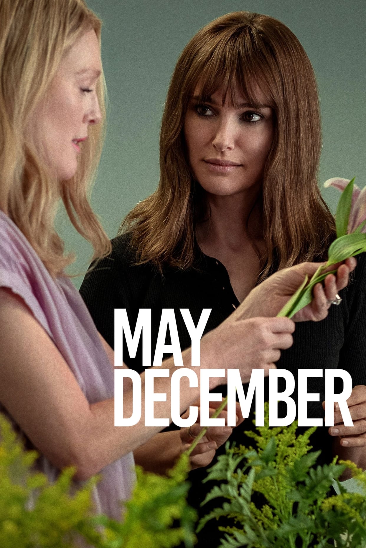 May December Movie poster