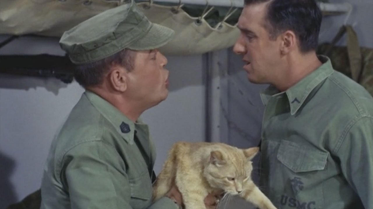 Gomer Pyle, U.S.M.C.
