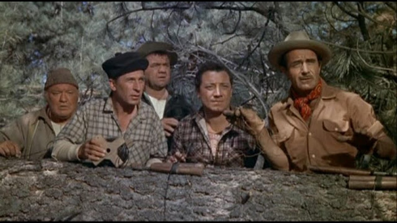 Guns of the Timberland (1960)