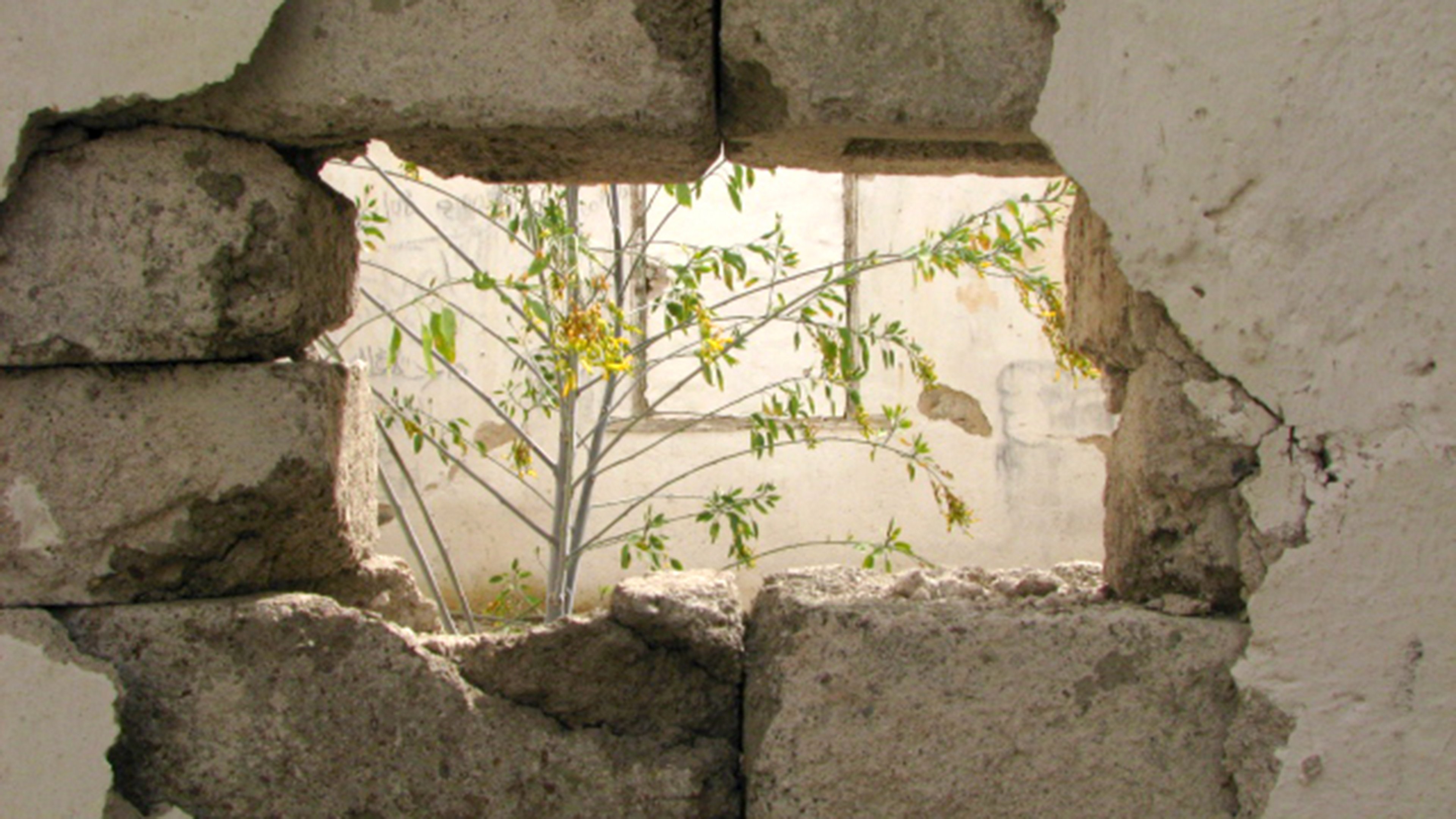 Aranzazú, a memory of ruins (2012)