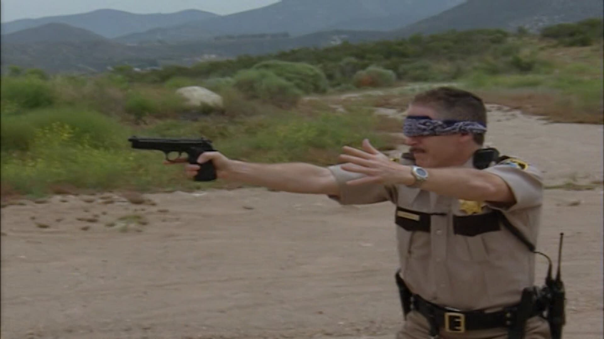 Reno 911!