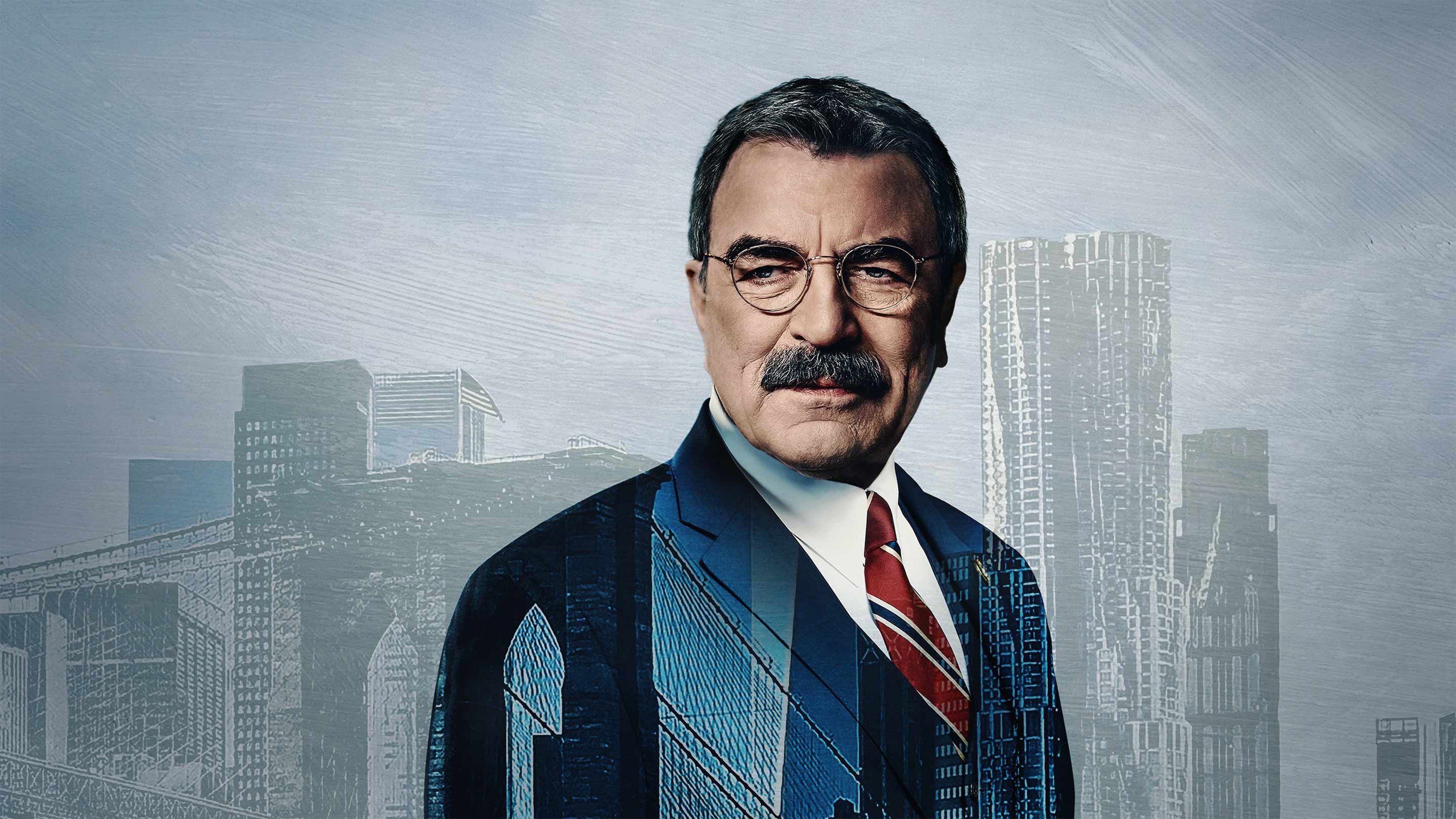 Blue Bloods - Season 3