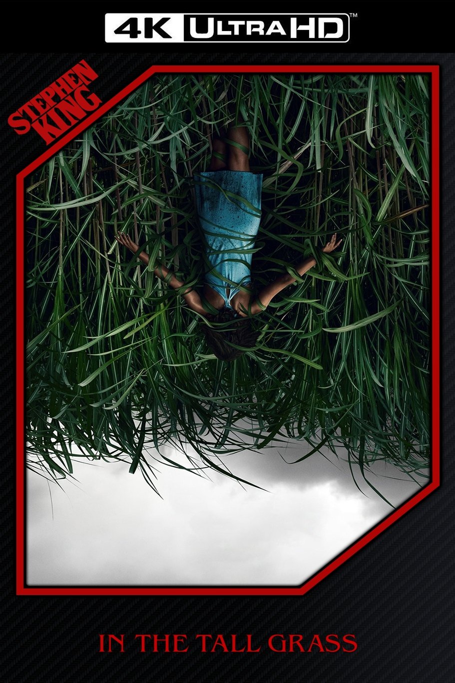 In the Tall Grass