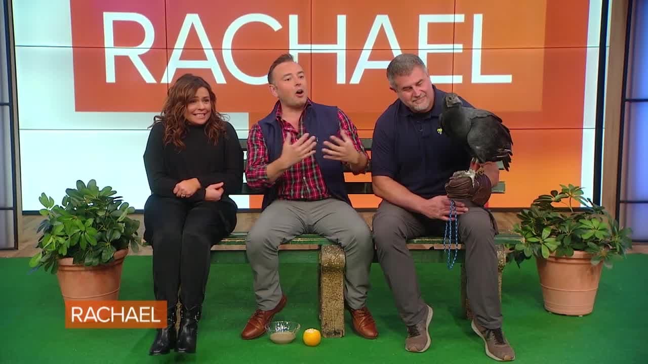 Rachael Ray Season 14 :Episode 46  It Is Veterans Day and We're Heating Things Up