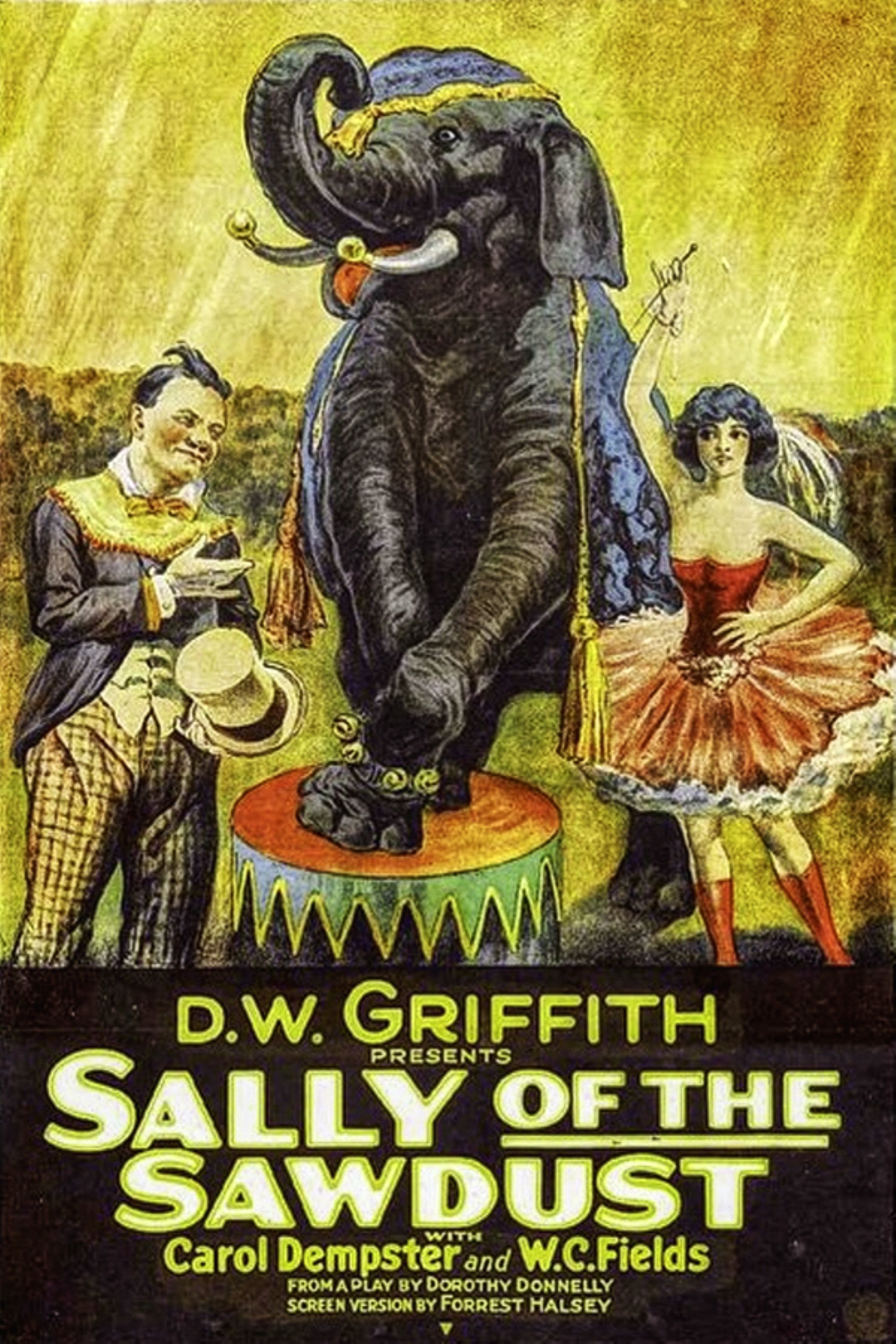 Sally of the Sawdust