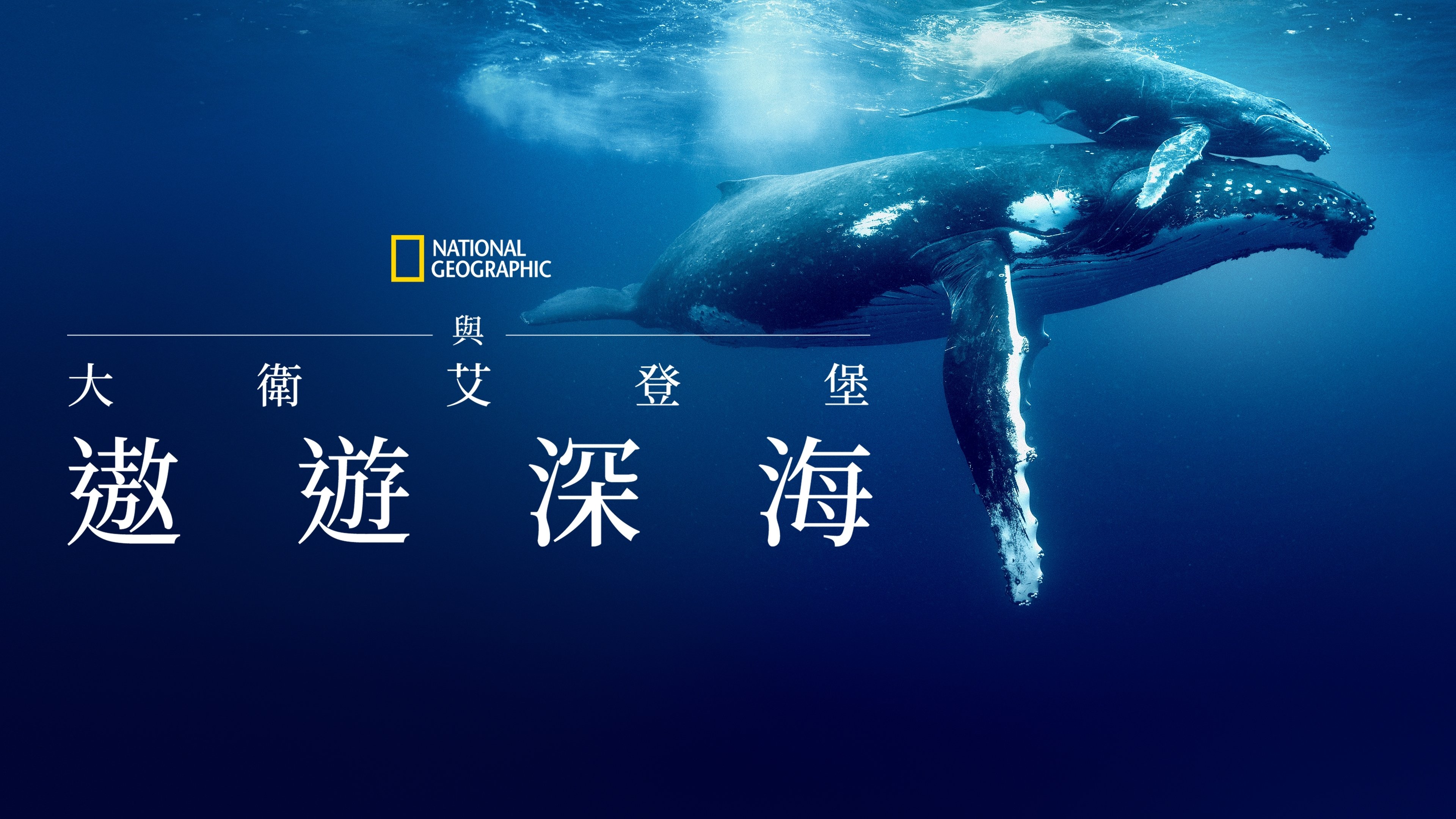 Ocean with David Attenborough backdrop
