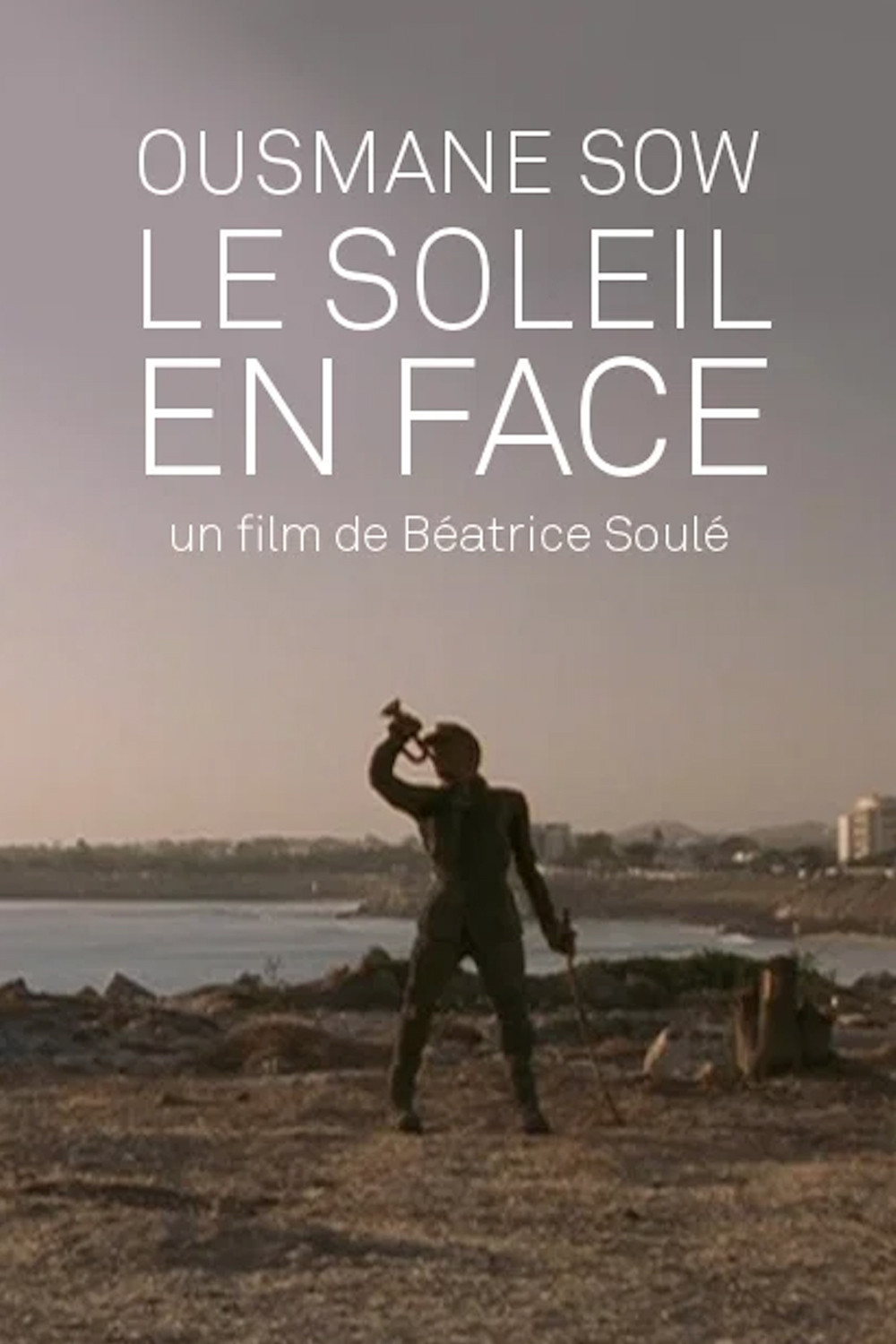 Ousmane Sow, Le soleil en face
