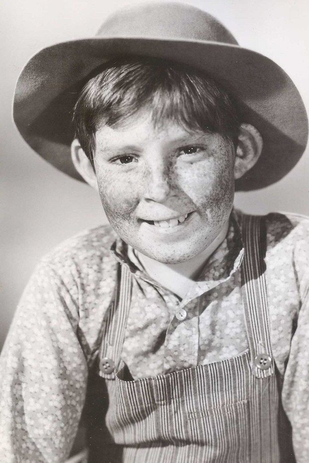 et billede af Stephen Wootton