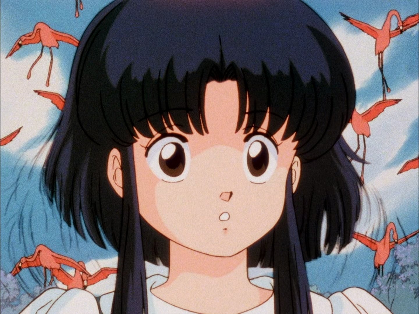 らんま1/2: シーズン1 - 学校は戦場だ!対決 乱馬VS良牙 (1989 らんま1/2: シーズン1 - 学校は戦場だ!対決 乱馬VS良牙 (1989