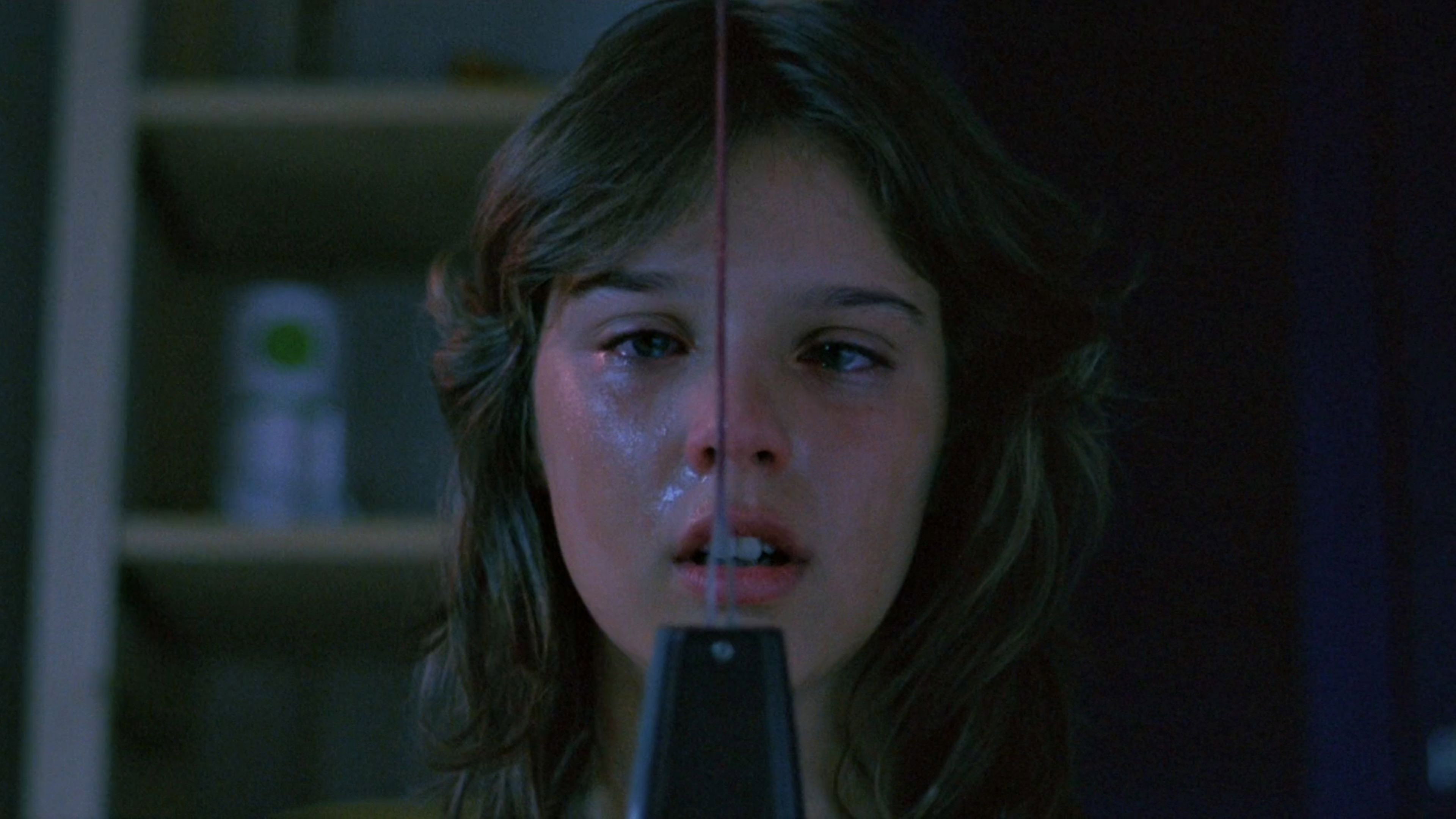 The Fan (1982) — still 3