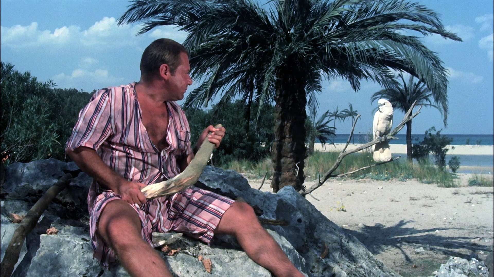 Il signor Robinson - Mostruosa storia d'amore e d'avventure (1976)