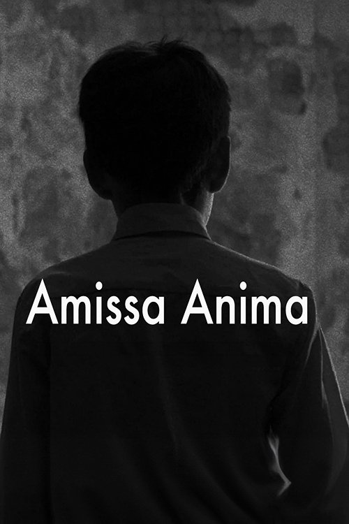 Amissa Anima