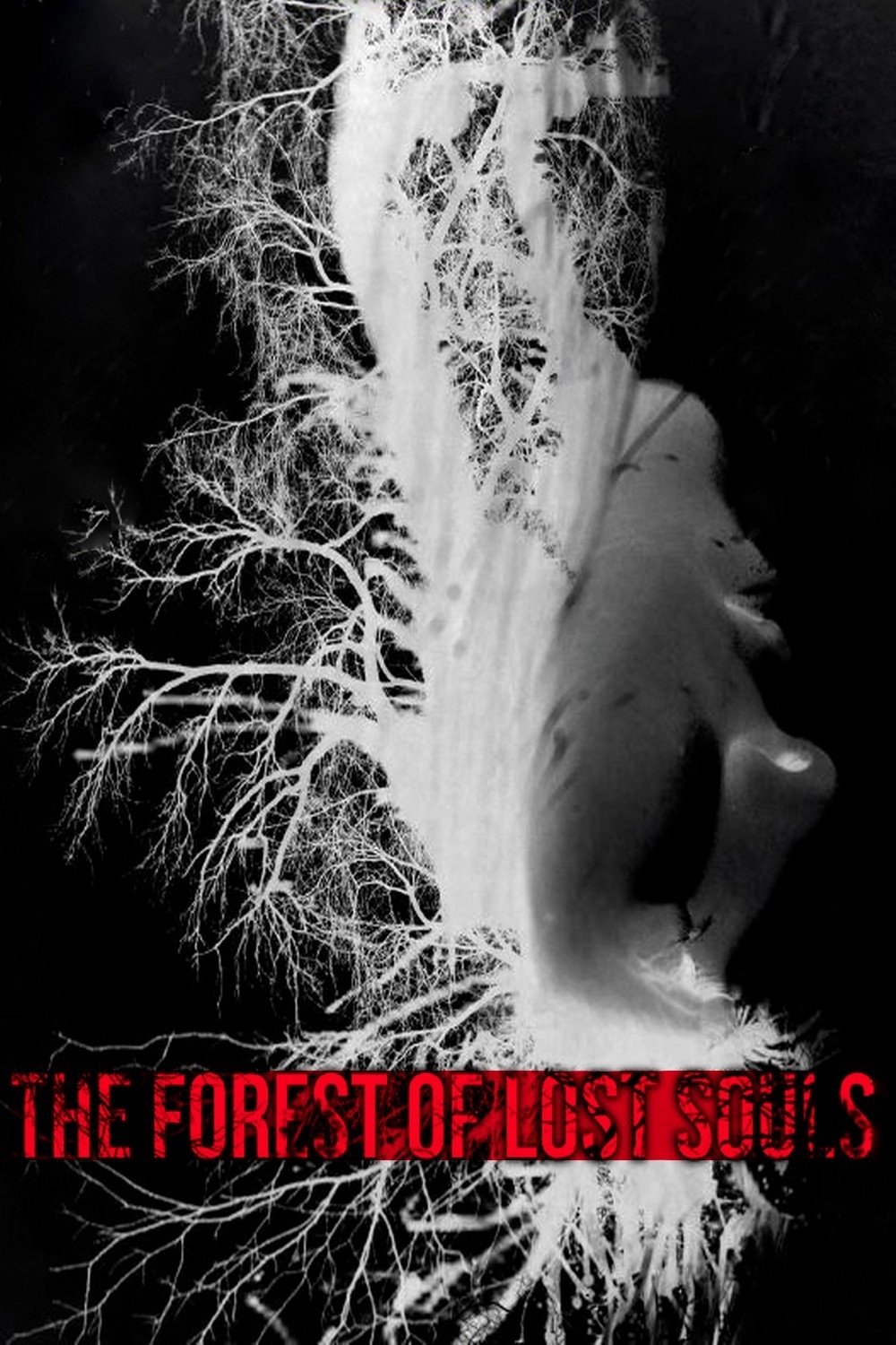 The Forest of the Lost Souls