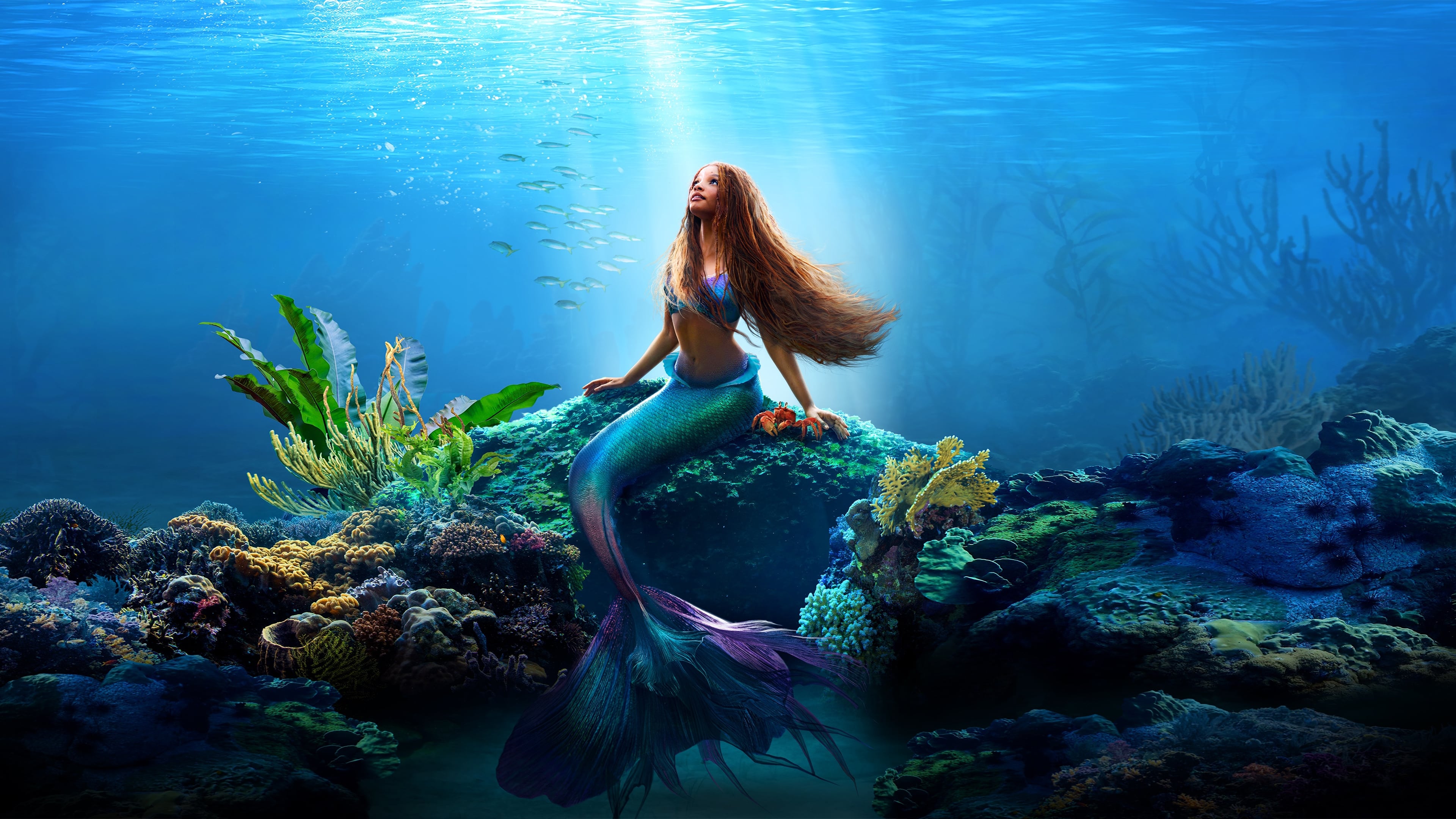ดูหนัง The Little Mermaid (2023) เงือกน้อยผจญภัย พากย์ไทย