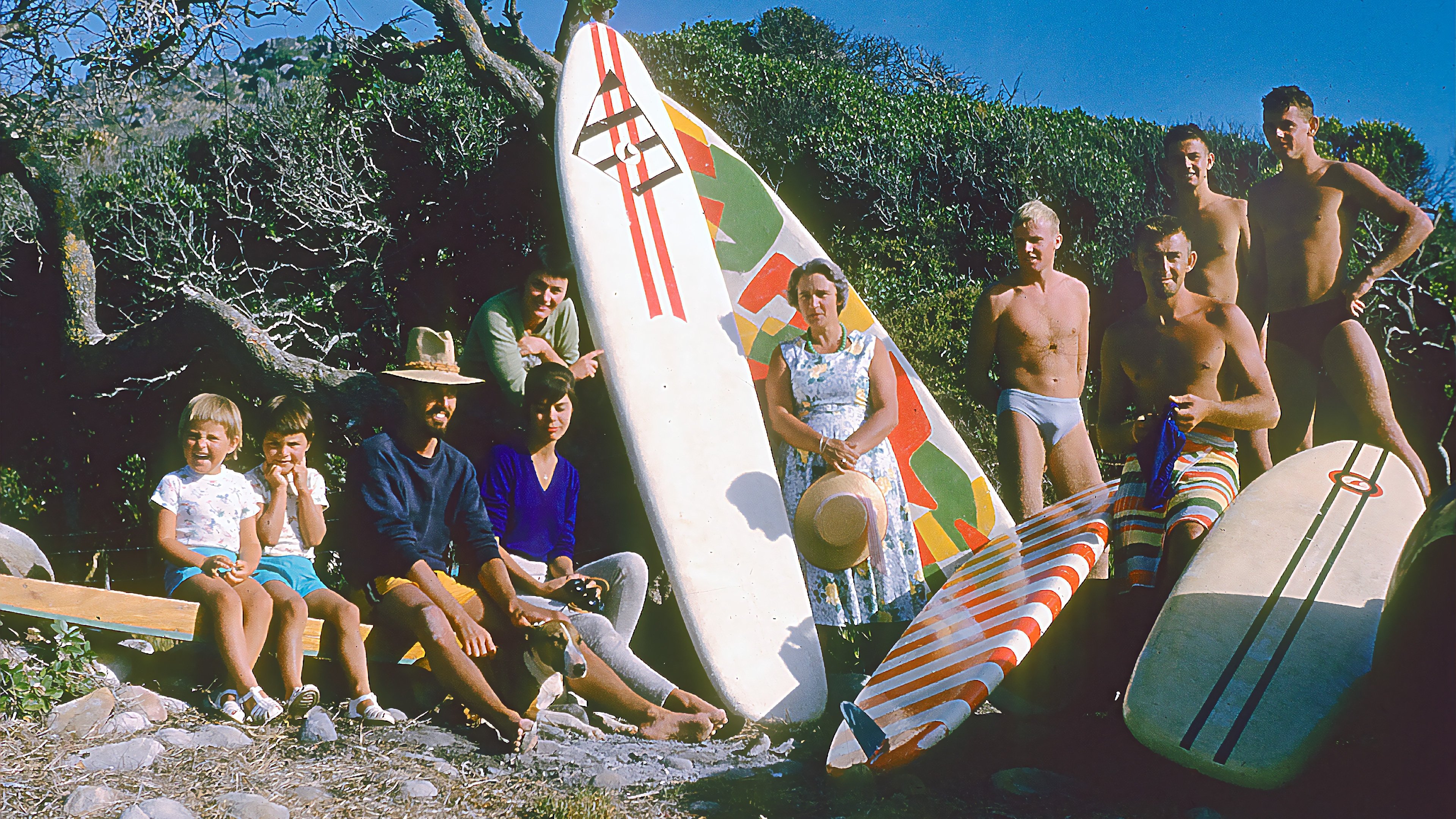 Birth of The Endless Summer: Discovery of St.Francis (2023)