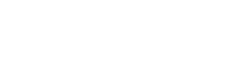 Pokémon: Twilight Wings Logo