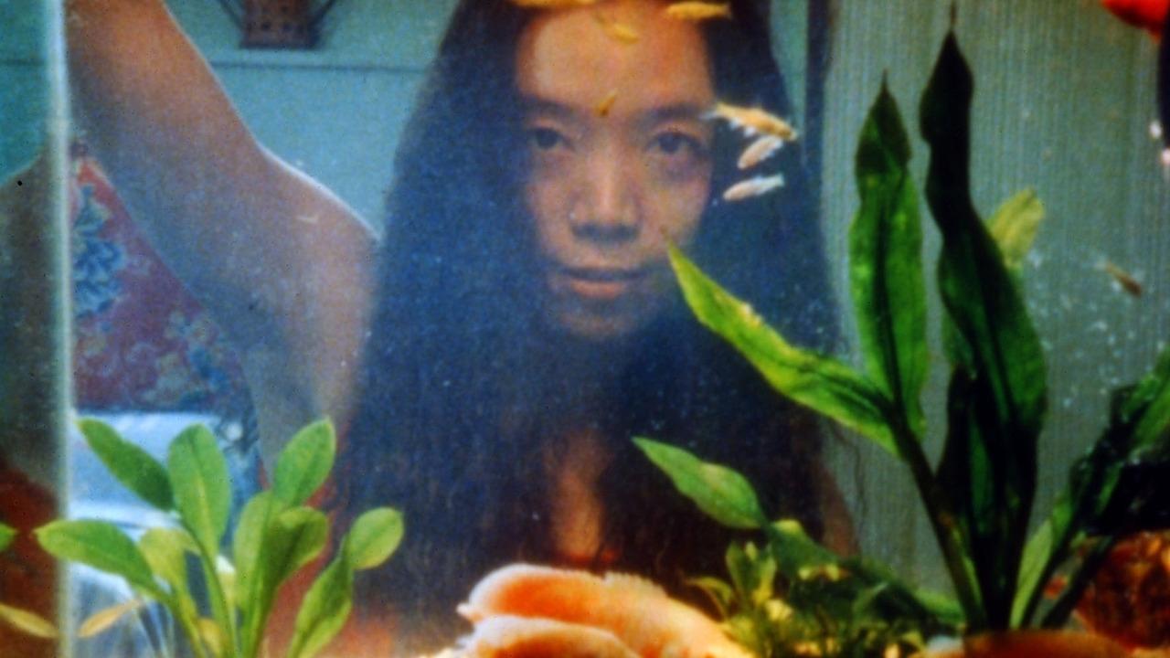 Fish and Elephant (2001)